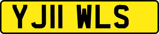 YJ11WLS