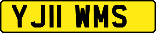 YJ11WMS