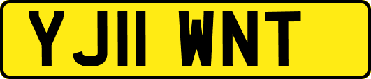 YJ11WNT