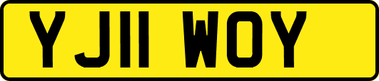 YJ11WOY