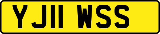 YJ11WSS