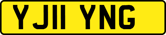 YJ11YNG