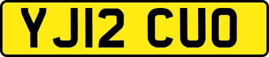 YJ12CUO
