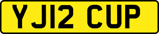 YJ12CUP