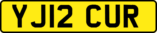 YJ12CUR