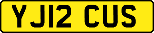 YJ12CUS