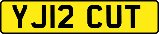 YJ12CUT