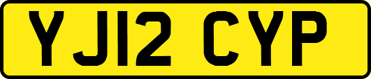 YJ12CYP