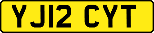 YJ12CYT