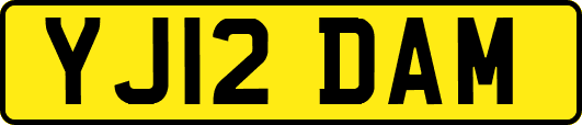 YJ12DAM