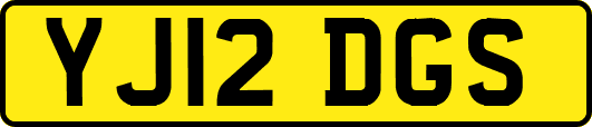 YJ12DGS