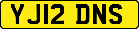 YJ12DNS