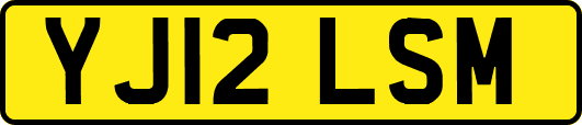 YJ12LSM