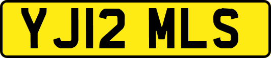 YJ12MLS