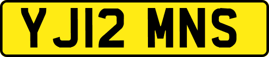 YJ12MNS
