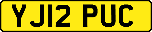 YJ12PUC
