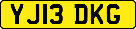YJ13DKG