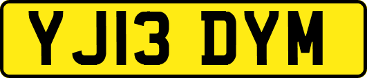 YJ13DYM