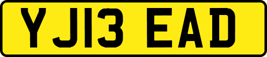 YJ13EAD