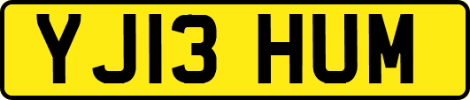YJ13HUM