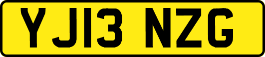 YJ13NZG