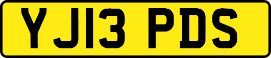 YJ13PDS