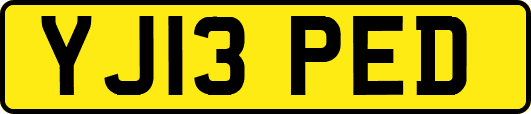 YJ13PED