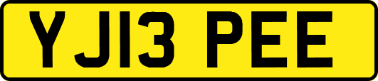 YJ13PEE