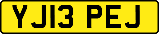 YJ13PEJ