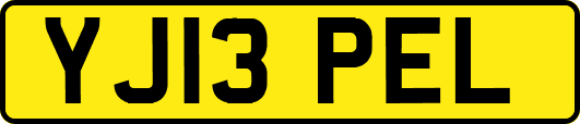 YJ13PEL
