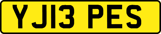 YJ13PES