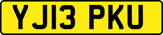 YJ13PKU