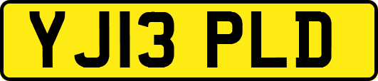 YJ13PLD