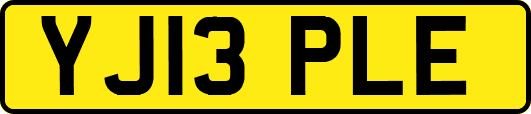YJ13PLE