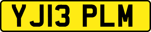 YJ13PLM