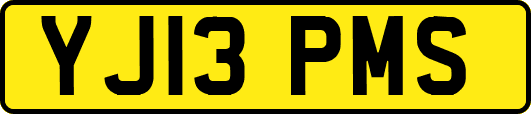 YJ13PMS