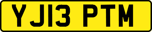 YJ13PTM