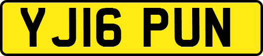 YJ16PUN