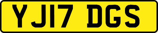YJ17DGS