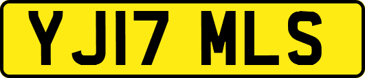 YJ17MLS