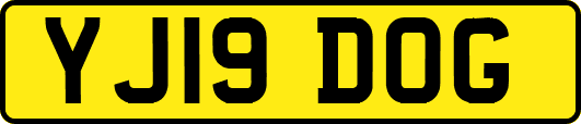 YJ19DOG