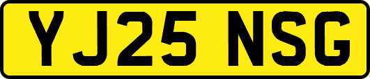 YJ25NSG
