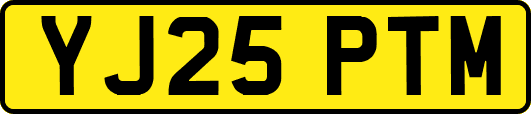 YJ25PTM