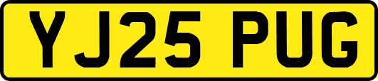 YJ25PUG