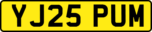 YJ25PUM