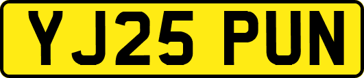 YJ25PUN