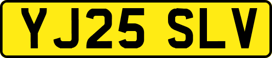 YJ25SLV