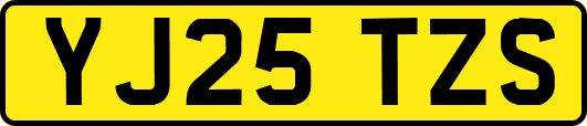 YJ25TZS