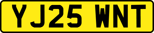 YJ25WNT