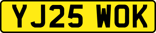 YJ25WOK
